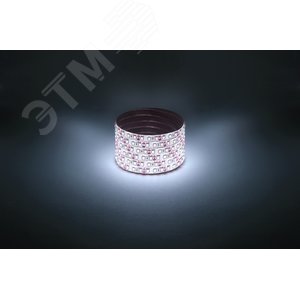 Лента светодиодная 9,6Вт/м 12В 6500К IP65 120LED/м LS2835-120LED-IP65-W-eco-5м - фото 3