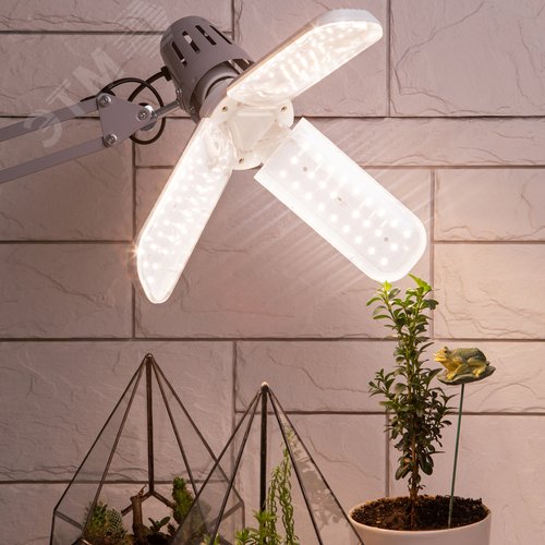 Фитолампа для растений светодиодная FITO-24W-Ra90-E27-FOLD 3-х лепестковая полного спектра 24 Вт Е27 - фото 2