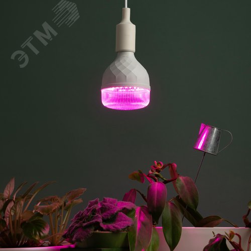 Фитолампа для растений светодиодная GREEN LINE ФИТО-35W-PL-E27-GR красно-синего спектра 35 Вт Е27 - фото 7