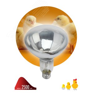 Инфракрасная лампа ИКЗ 220-250 R127 E27, кратность 1 шт., для обогрева животных и освещения, 250 Вт, Е27 Б0055440 ЭРА - 2