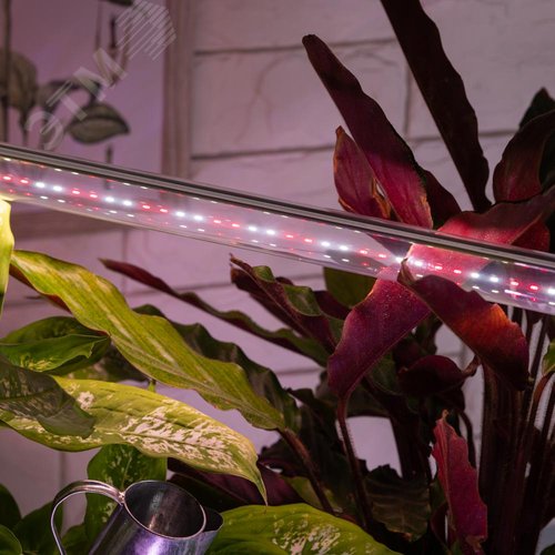 Лампа светодиодная полноспектральная Т8 с красными и белыми светодиодами для профессионального выращивания растений FITO-9W-Ra90-Т8-G13-NL - фото 9