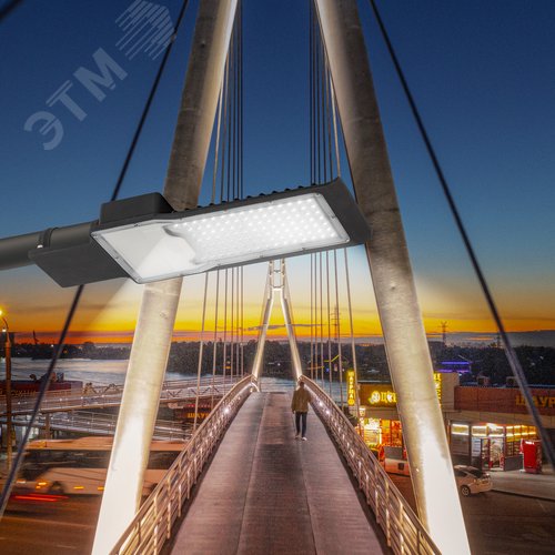 Светильник уличный светодиодный ДКУ 80Вт 5000К 8000Лм IP65 КСС Ш 48мм SPP-503-0-50K-080 - фото 10