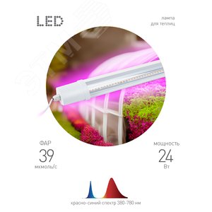 Светильник для растений, фитолампа светодиодная линейная FITO-24W-RB-N красно-синего спектра 24 Вт - фото 4