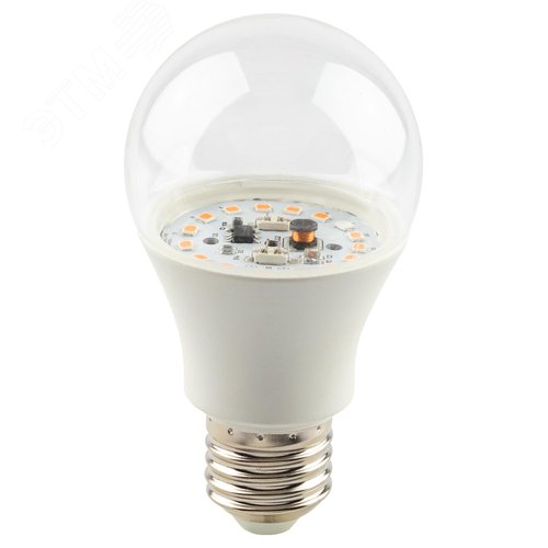 Фитолампа для растений светодиодная GREEN LINE ФИТО A60-15W-PL-E27-GR красно-синего спектра 15 Вт Е27 - фото 2