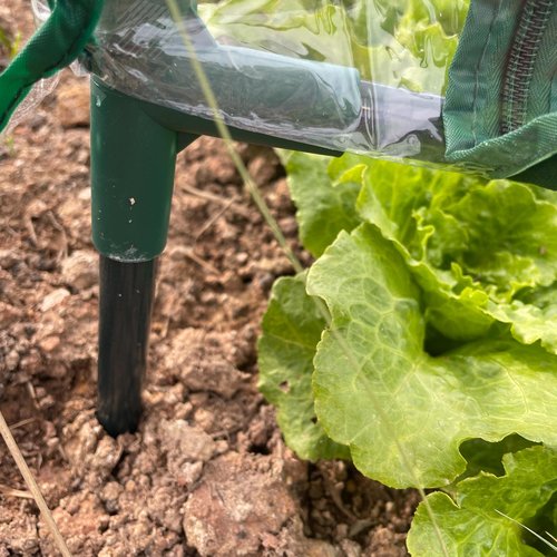 Теплица FITO-House-medium со светильником в комплекте 1800х900х900 мм 2 отсека - фото 4