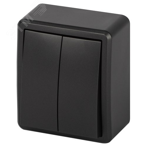 Изображение товара Выключатель двухклавишный наружный (открытой установки) IP 20 антрацит 10А 250В винтовые зажимы ЭРА Эксперт 11-1204-05 (шт)