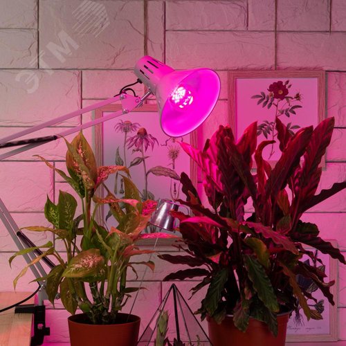 Лампа светодиодная лампа для рассады тип А60, 14 Вт, 220-240V FITO-12W-RB-E27-K - фото 6