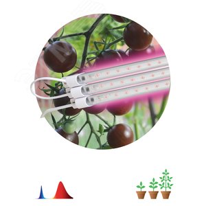 Модульный светильник для растений FITO-3х10W-LINE-RB90 красно-синего спектра 30 Вт Б0050924 ЭРА - 3