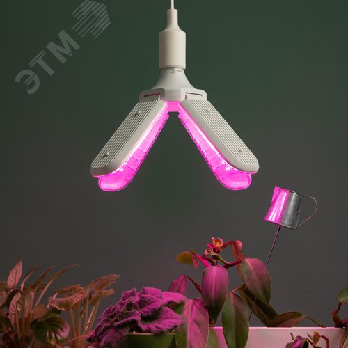 Фитолампа для растений светодиодная GREEN LINE ФИТО-40W-PL-E27-GR 4-х лепестковая красно-синего спектра 40 Вт Е27 - фото 7