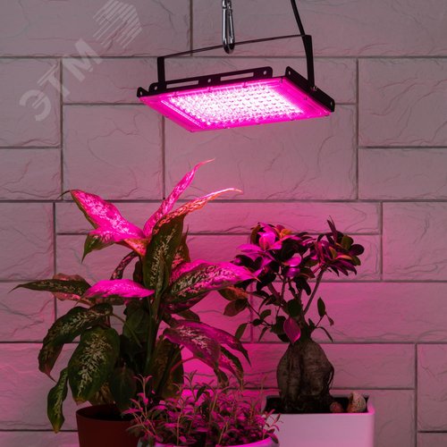 Фитопрожектор для растений светодиодный FITO-80W-RB-LED-Y красно-синего спектра - фото 6