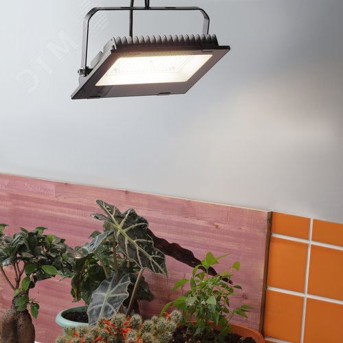 Фитопрожектор для растений светодиодный полного спектра 100 Вт FITO-100W-Ra90-LED для цветения и плодоношения - фото 10