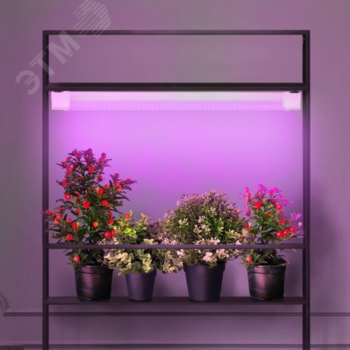 Светильник линейный красно-синего спектра FITO-36W-RB-N (10/240) - фото 8