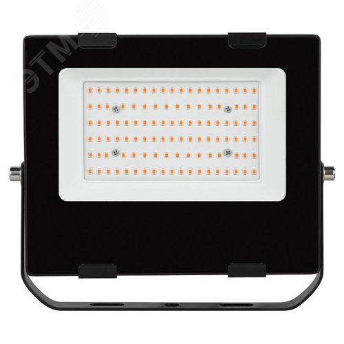 Прожектор красно-синего спектра FITO-50W-RB-LED - фото 3