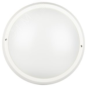 Светильник ЖКХ светодиодный КРУГ 24 Вт 2040 Лм 6500К IP65 D320 мм SPB-203-0-65К-024 - фото 1