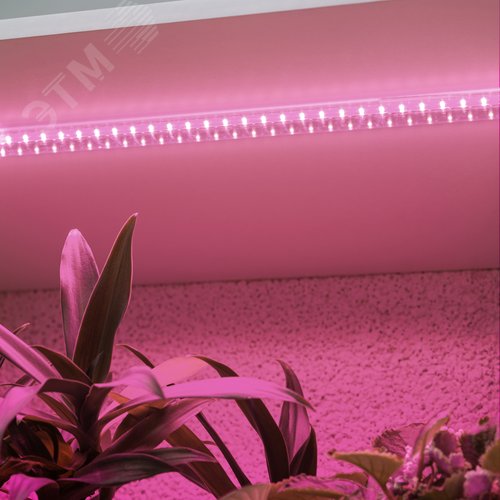 Светильник для растений фитолампа светодиодная линейная FITO-10W-Т5-PL-Slim-GR розового свечения 10 Вт GREEN LINE - фото 15