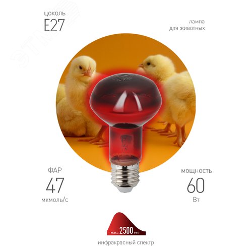 Инфракрасная лампа ИКЗК 230-60 R63 Е27 для обогрева животных 60 Вт Е27 - фото 4