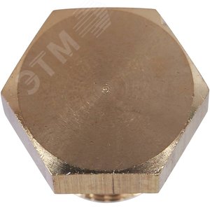 Заглушка НР 1/8 - фото 5