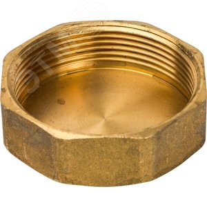 Заглушка ВР 2' - фото 2