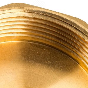 Заглушка ВР 2' - фото 5