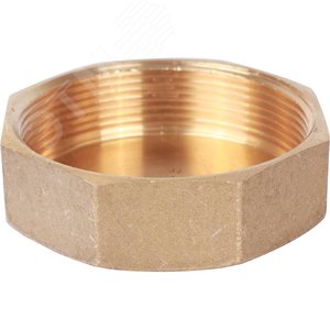 Заглушка ВР 2' 1/2 - фото 1