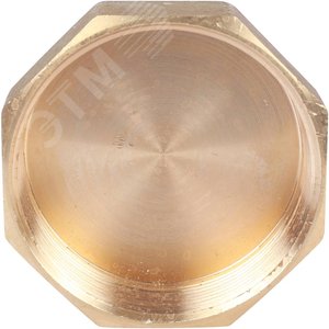 Заглушка ВР 2' 1/2 - фото 5