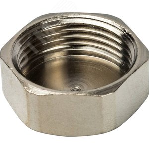 Заглушка ВР никелированная 1' - фото 2