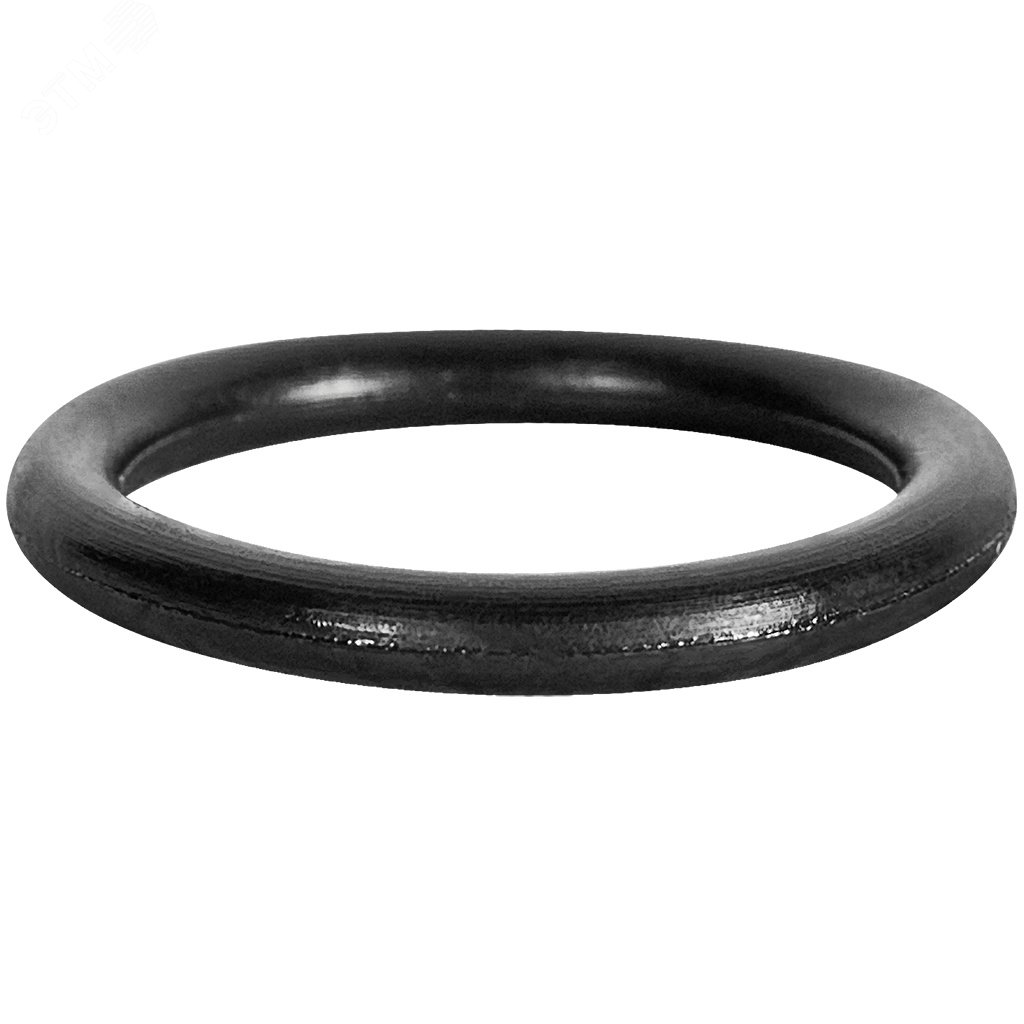 Изображение товара Кольцо уплотнительное из EPDM 18 мм без выемок (шт) Изображение товара Кольцо уплотнительное из EPDM 18 мм без выемок (шт)