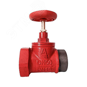 Клапан пожарный чугунный КПЧП 50-1 Ду50 Ру16 муфта-резьб прямой