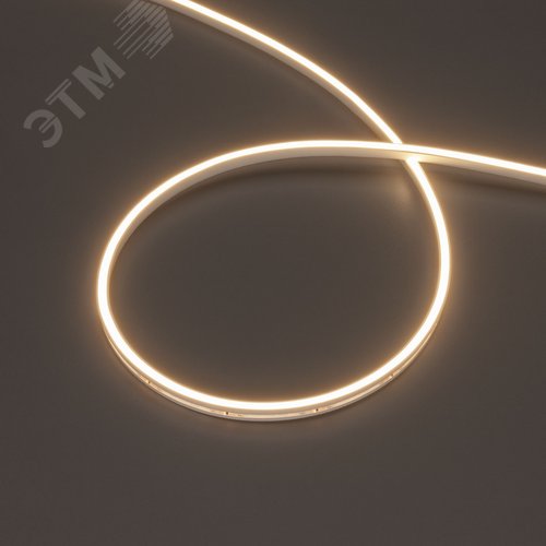 Изображение товара Лента герметичная MOONLIGHT-SIDE-T-M196-03x06mm 24V Warm3000 7.2 W/m, IP54, 2216, 5m, wire x2 вывод кабеля прямой (м)