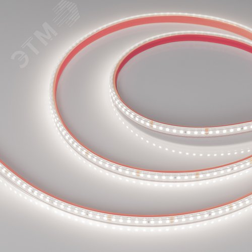 Изображение товара Лента светодиодная 12 Вт/м 24В IP67 5000K 160LED/м RT/RTW-A160-8-10mm SMD 2835 5 м (м)