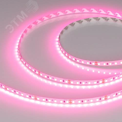 Изображение товара Лента светодиодная 9.6 Вт/м 24В Розовый IP20 120LED/м RT-A120-8-11mm SMD 2835 5 м (м)