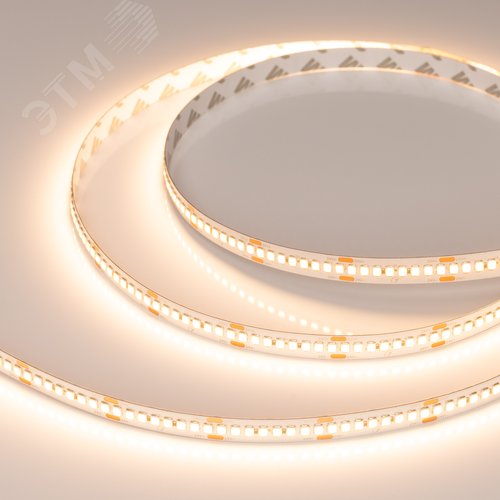 Изображение товара Лента светодиодная 22 Вт/м 24В IP20 2400K 240LED/м RT-A240-10mm SMD 2835 5 м (м)