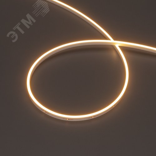 Изображение товара Лента герметичная MOONLIGHT-SIDE-M196-03x06mm 24V Warm2700 7.2 W/m, IP54, 2216, 5m, wire x2, вывод кабеля прямой (м)