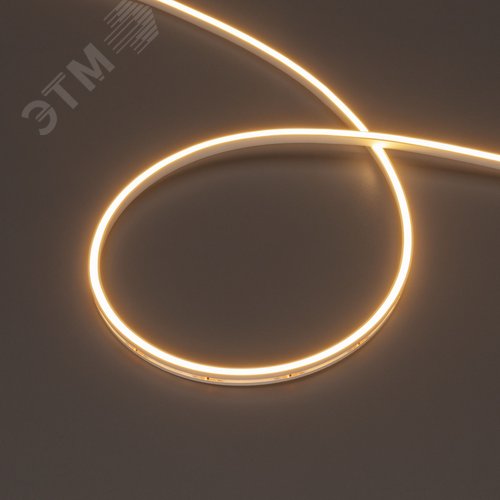 Изображение товара Лента герметичная MOONLIGHT-SIDE-T-M196-03x06мм 24V Warm2700 7.2 W/m, IP54, 2216, 5м, wire x2 вывод кабеля прямой (м)