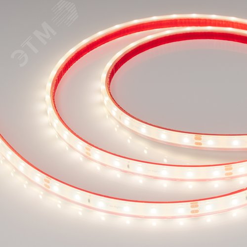 Изображение товара Лента светодиодная 4.8 Вт/м 24В 4000K IP68 60LED/м RTW-A60-8-11mm SMD 2835 5 м герметичная (м)