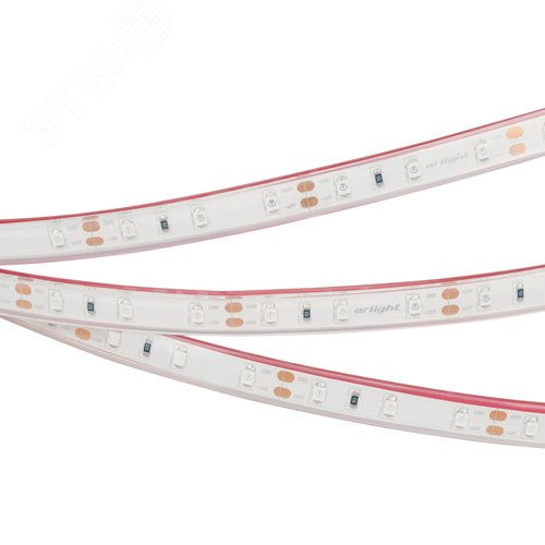 Изображение товара Лента светодиодная 4.8 Вт/м 12В Синий IP68 60LED/м RTW-A60-8-11mm SMD 2835 5 м герметичная (м)