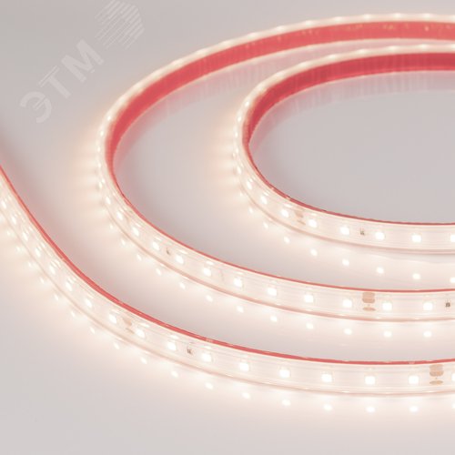 Изображение товара Лента светодиодная 6 Вт/м 24В IP67 3500K 80LED/м RT/RTW-A80-8-10mm SMD 2835 50 м (м)