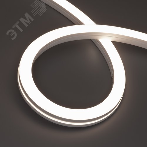 Изображение товара Лента герметичная MOONLIGHT-SIDE-X280-20x20mm 24V Day400010 W/m, IP67, 15m, wire x1, вывод боковой, 5 лет (м)