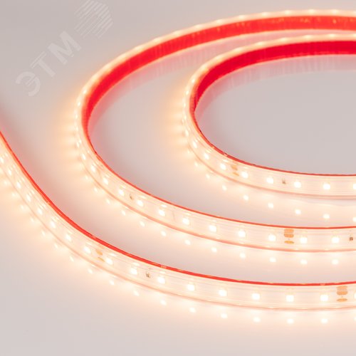 Изображение товара Лента светодиодная 6 Вт/м 24В IP67 2700K 80LED/м RT/RTW-A80-8-10mm SMD 2835 5 м (м)