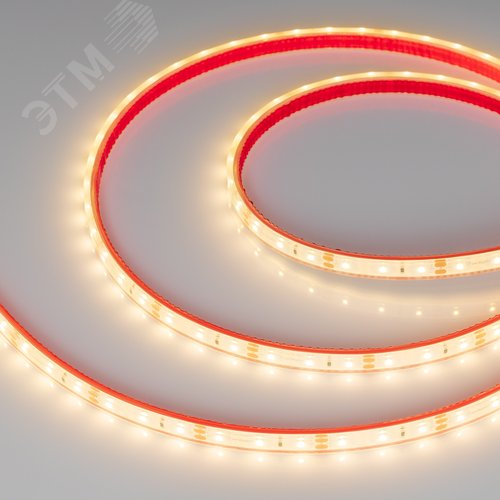 Изображение товара Лента светодиодная 4.8 Вт/м 12В 3000K IP68 60LED/м RTW-A60-8-11mm SMD 2835 5 м герметичная (м)