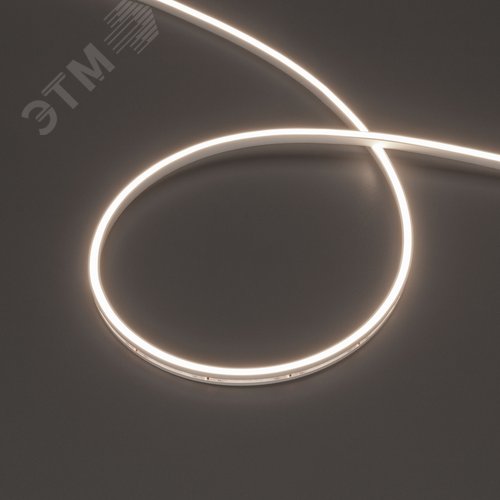 Изображение товара Лента герметичная MOONLIGHT-SIDE-T-M196-03x06mm 24V Day4000 7.2 W/m, IP54, 2216, 5m, wire x2 вывод кабеля прямой (м)