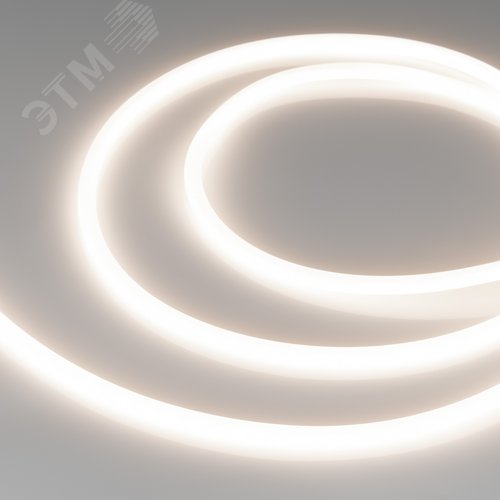 Изображение товара Лента светодиодная 8 Вт/м 24В IP65 4000K 960LED/м LUNA-X960-8mm CSP 5 м (м)