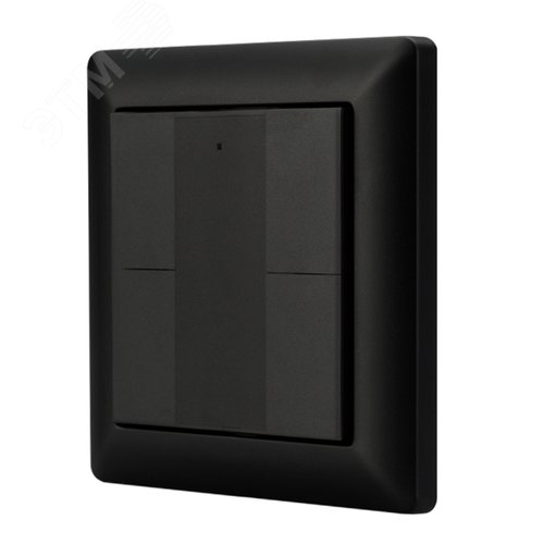 Изображение товара Панель DALI-223-4K-D2-IN-BLACK (BUS, Free purpose) (IARL, -) (шт)