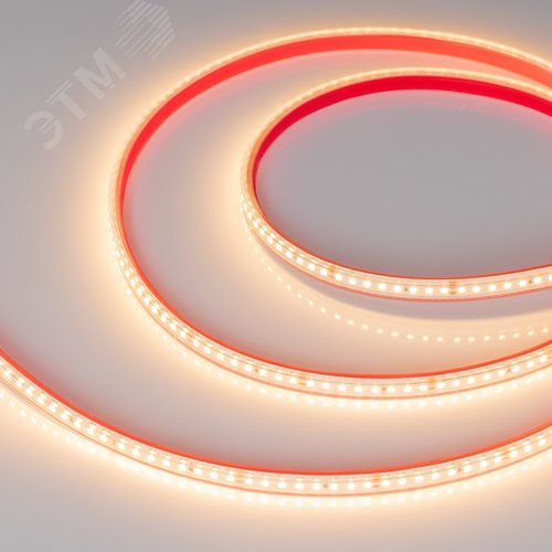 Изображение товара Лента светодиодная 12 Вт/м 24В IP67 2700K 160LED/м RT/RTW-A160-8-10mm SMD 2835 50 м (м)