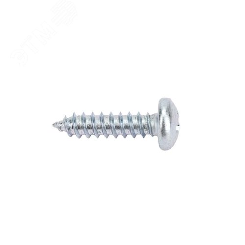 Саморез DIN7981 4.8х19 полукруглая голова остроконечный оцинкованный (15 шт.) - фото 1