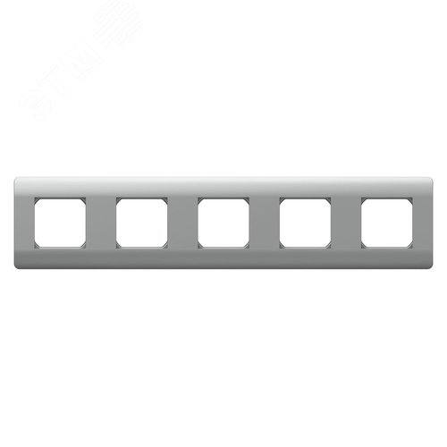 Изображение товара Рамка 5-ая, универсальная, серебряный (шт)