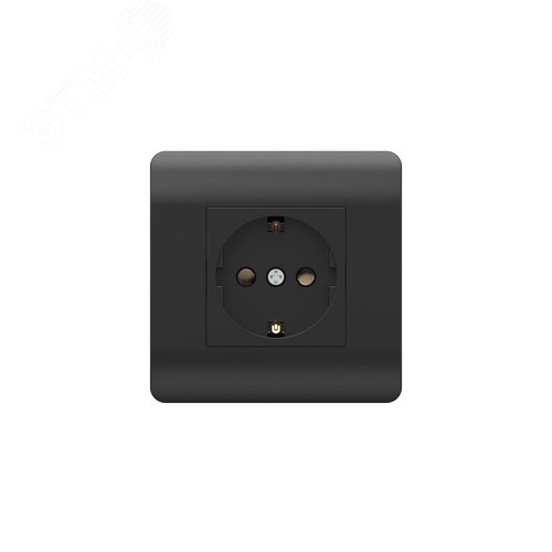 Изображение товара Розетка с/з со шторками, 16А, черный (шт)