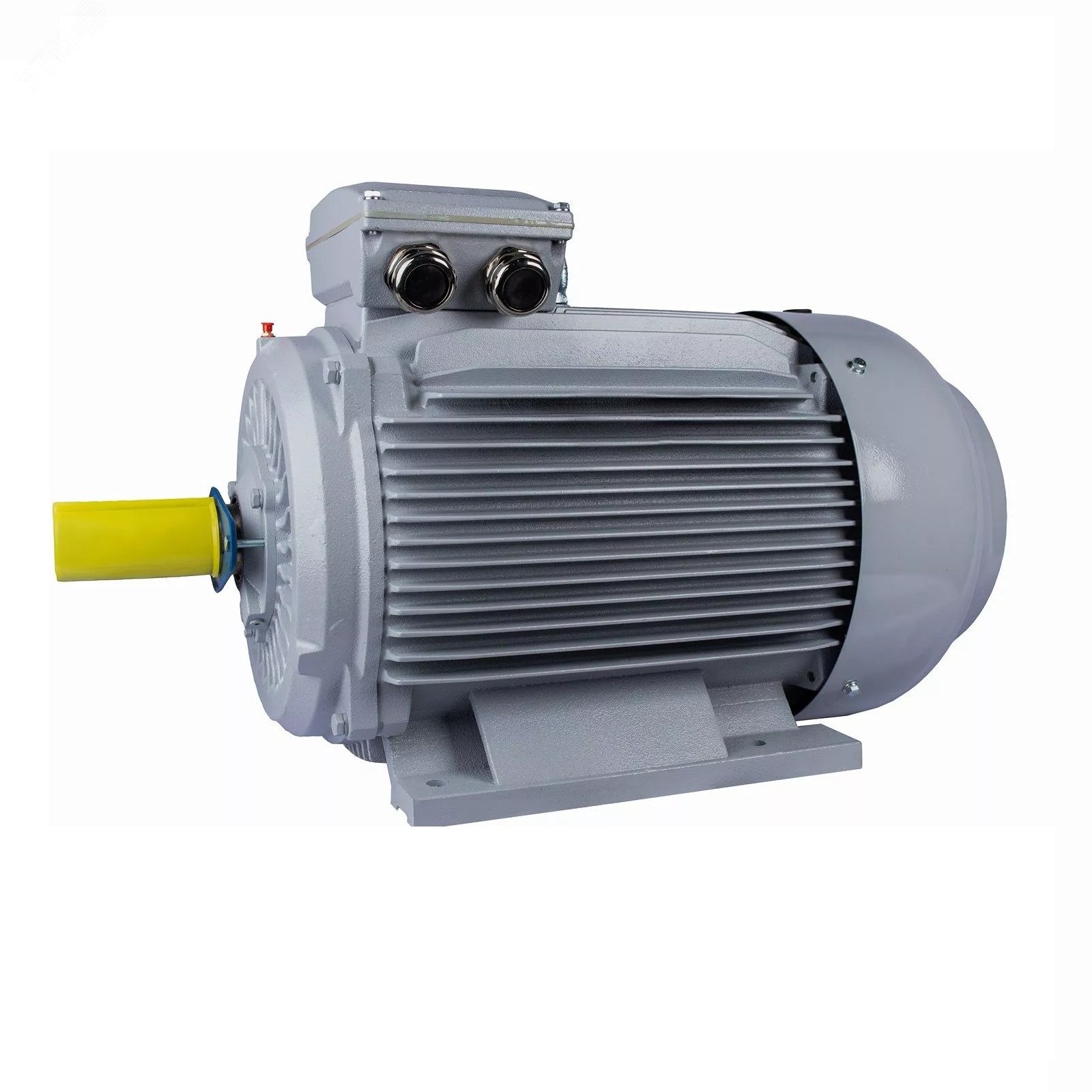 Изображение товара Электродвигатель асинхронный PR 280 S2-SDN-Б1-S12-IE2 75/3000 IM B3 ESQ