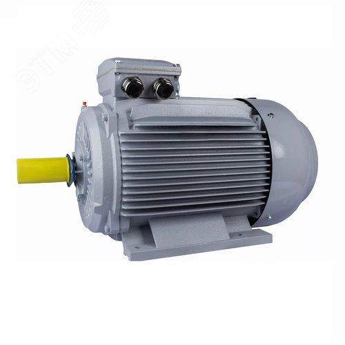 Изображение товара Электродвигатель общепромышленный PR 280 S2-SDN-Б1-S12-IE2 75/3000 IM B3 (шт)