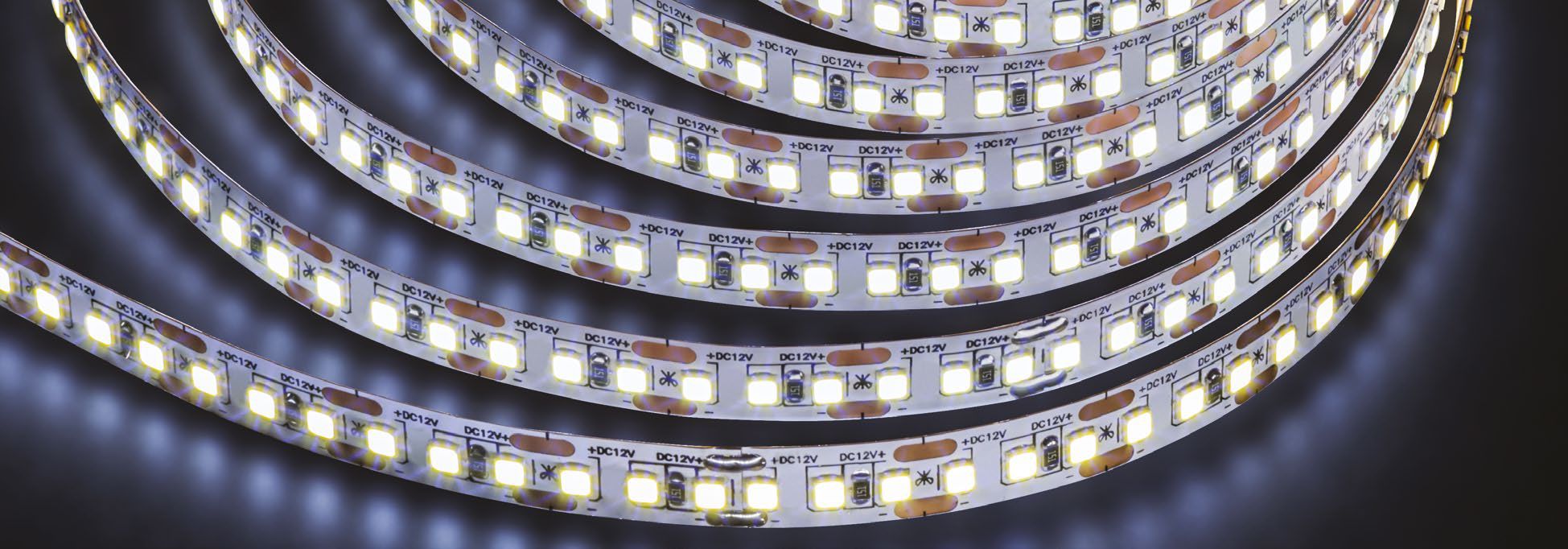 Лента светодиодная 9.6Вт/м 24В 6000К IP65 120LED/м ИСЛ-2835-CRI80 5м